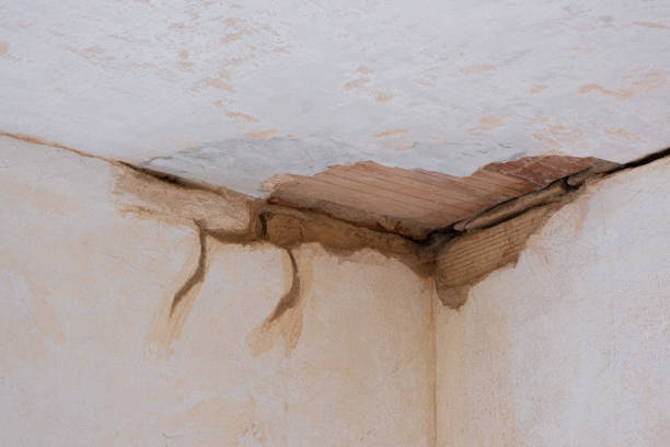 Best Flood restoration services  in Hickman, NE