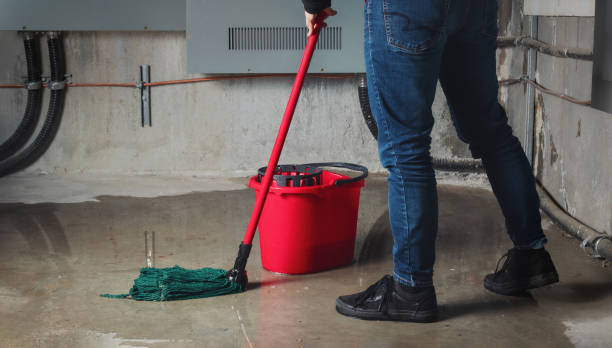 Best Water damage mitigation services  in Hickman, NE