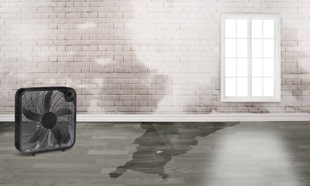 Best Water damage restoration near me  in Hickman, NE