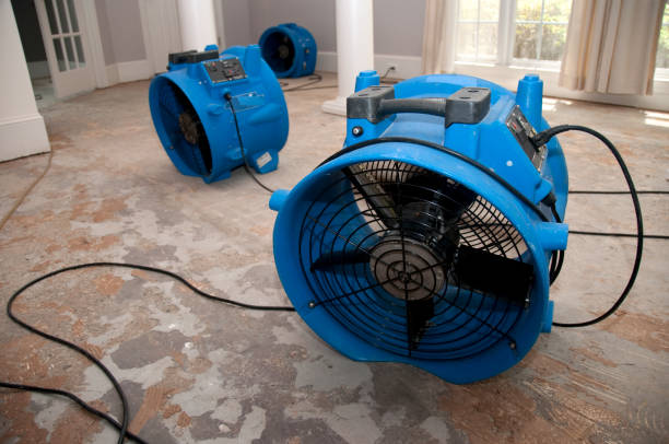 Best Water damage cleanup near me  in Hickman, NE
