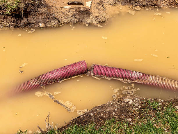  Hickman, NE Water damage restoration Pros
