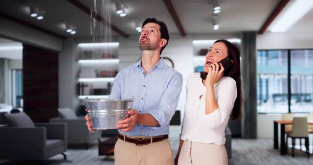 Best 24/7 water damage repair  in Hickman, NE